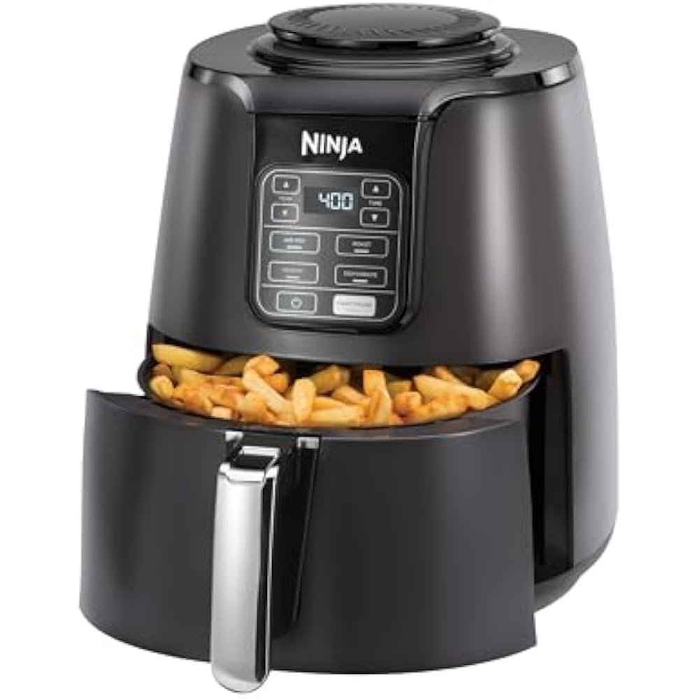 Ninja AF101 Air Fryer Review: Is This 4-Quart Model Still Worth Buying?